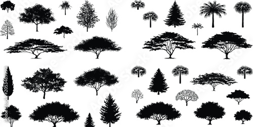 Foto Black vector silhouettes of diverse tree species including conifer, broadleaf, a