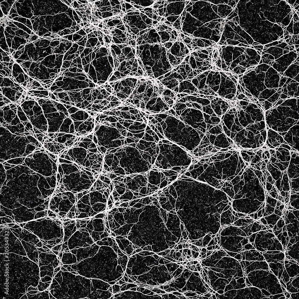 Fototapeta premium Intricate white network of tangled lines on black background for scientific concepts