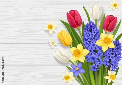 Spring flower bouquet with red, yellow, and white tulips, yellow daffodils, and purple hyacinths on a horizontal white wooden plank background with empty copy space on the left side.