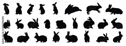 rabbit or bunny silhouette set. rabbit isolated farm animal realistic silhouette icon vector collection