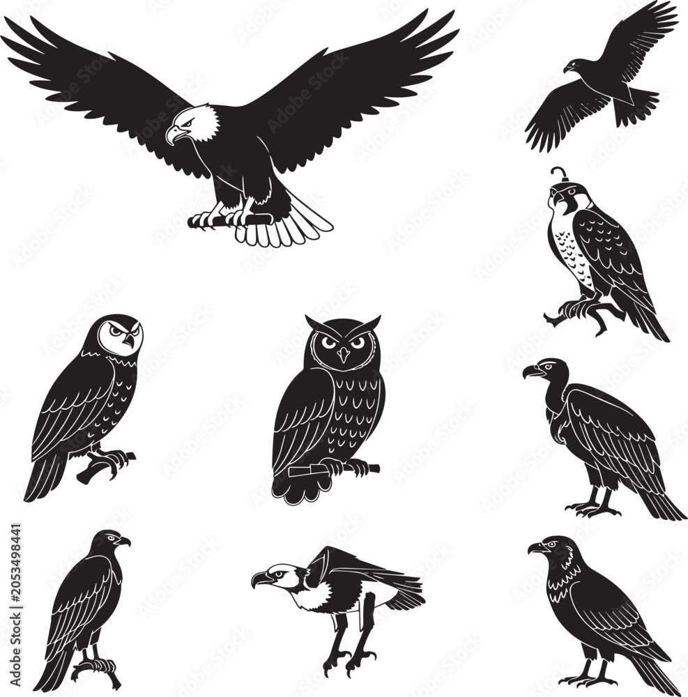 Obraz premium 18_Black_vector_illustration_of_b_1_20260314_023523_jpg