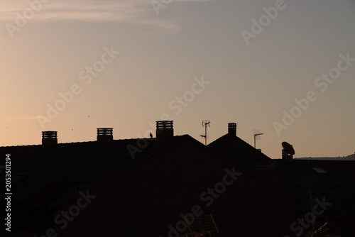 Fotografi Dark silhouette of a city rooftop with chimneys and small birds in the sky durin