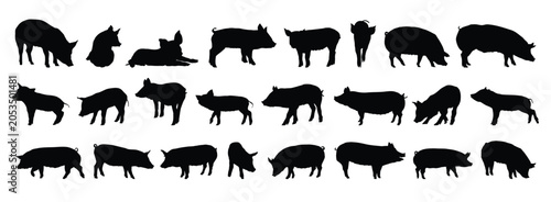 pig and piglet silhouette set. pig and piglet isolated farm animal silhouette icon vector collection