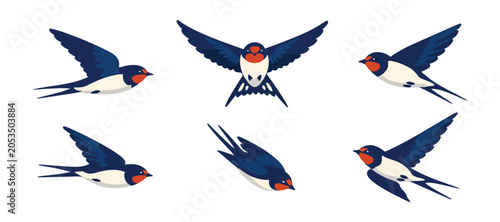 Foto flying swallow bird flat illustrations