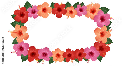 Vibrant Watercolor Hibiscus Flower Frame Illustration isolated PNG with Transparent Background