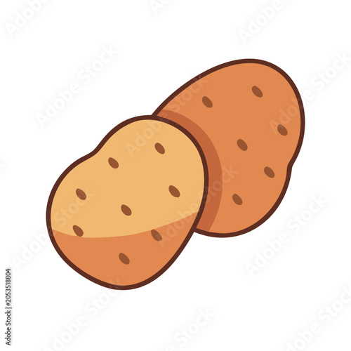 Tableau sur toile Colored vector illustration of fresh potato tubers isolated on white background