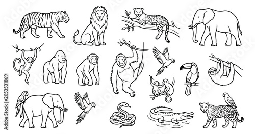 Photography Jungle animals line art collection, wild safari animal vector set, black and whi