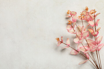 Pink eucalyptus branches on textured white background, minimalist floral design for copy space and creative projects, this natural botanical element offers a fresh and clean aesthetic