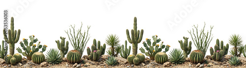 Cactus desert seamless border on