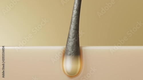 3D animation showing a golden serum drop absorbing into a cross section of a hair strand. The nutrient spreads through the hair structure, promoting longer and shinier hair for beauty advertising.