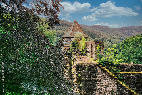 Historisches Hirschhorn