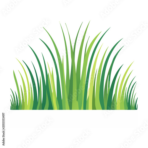 Green grass illustration