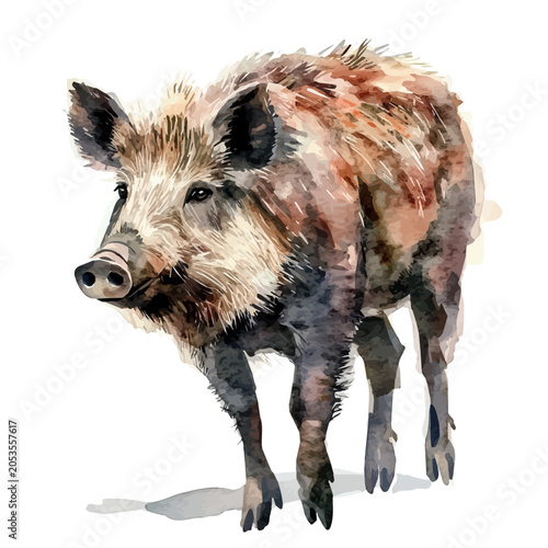 Fotografija Boar watercolor drawing vector, high-quality modern illustration on a pure white