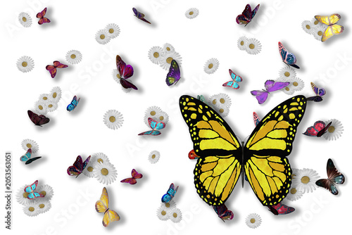 PNG. Illustrazione 3D. Primavera, estate. Fiori e farfalle su sfondo trasparente . Campo di erba con fiori colorati e farfalle, sullo sfondo trasparente.
