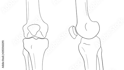 Cuadro en lienzo Anatomical line art illustration of the human knee joint showing frontal and lateral views