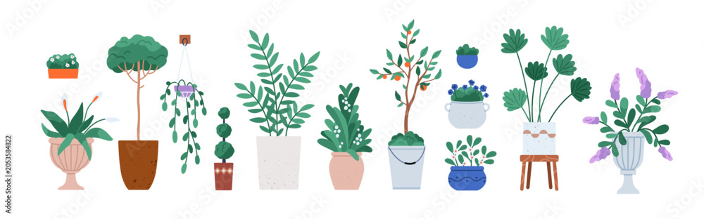 Obraz premium Plants in pots set. Green leaf and blooming flower houseplants. Tropical leaves, floral decorations, decorative trees in planter, flowerpot. Flat vector illustrations isolated on white background