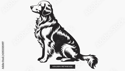 Very beautiful black-and-white engraved vector illustration featuring a GOLDEN RETRIEVER with detailed fur textures and an elegant breed label reading 