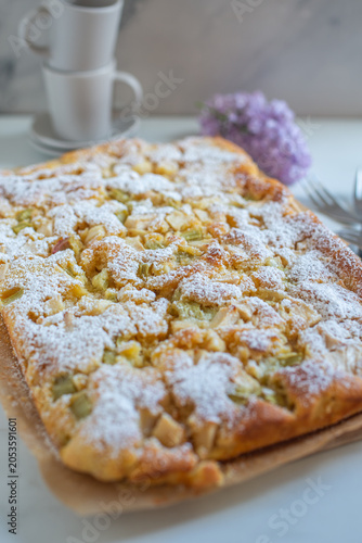 Home made Sweet Rhubarb cake with fresh rhubarb