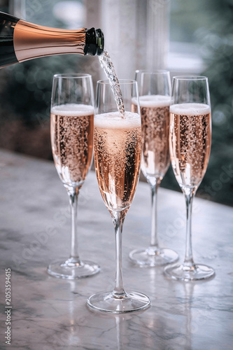 Elegant Pink Champagne Toast 