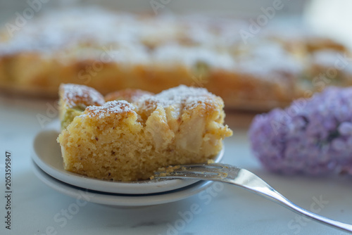 Home made Sweet Rhubarb cake with fresh rhubarb