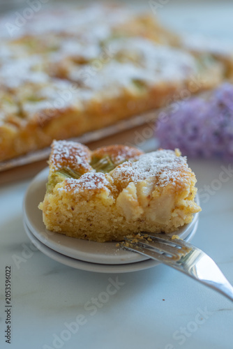 Home made Sweet Rhubarb cake with fresh rhubarb