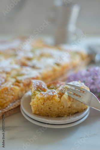 Home made Sweet Rhubarb cake with fresh rhubarb