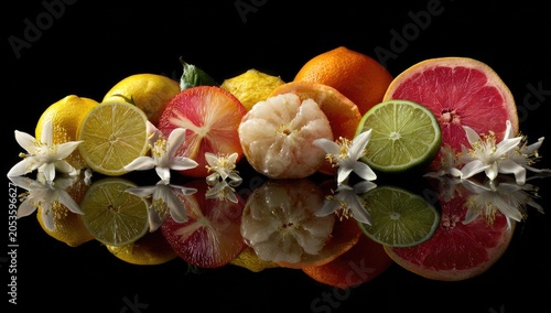 A vibrant still life of citrus fruits, sliced and whole, with blossoms, and a gleaming reflection against a black backdrop