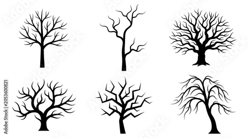 Foto Collection of diverse bare tree silhouettes depicting stark winter landscapes an