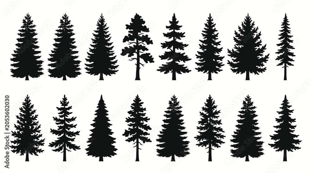 Fototapeta premium Set of evergreen forest tree silhouettes including pine fir and spruce trees