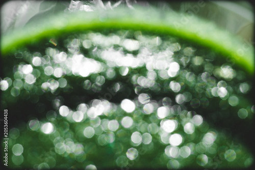 Healthy Green Juice Beverage Close Up with Artistic Liquid  Bokeh Texture