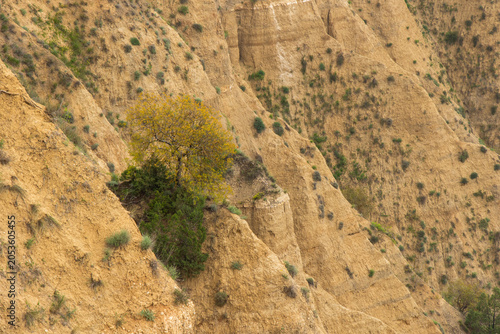 Dramatic badland formations and rugged canyons dominate the landscape of Vashlovani Protected Areas in eastern Georgia.