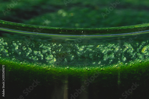 Healthy Green Juice Close Up with Glass Edge and Abstract Background Potential