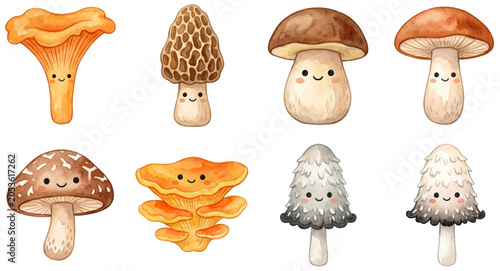 cute cartoon autumn mushroom set including chanterelle (cantharellus cibarius) morel (morchella esculenta) and porcini (boletus edulis)