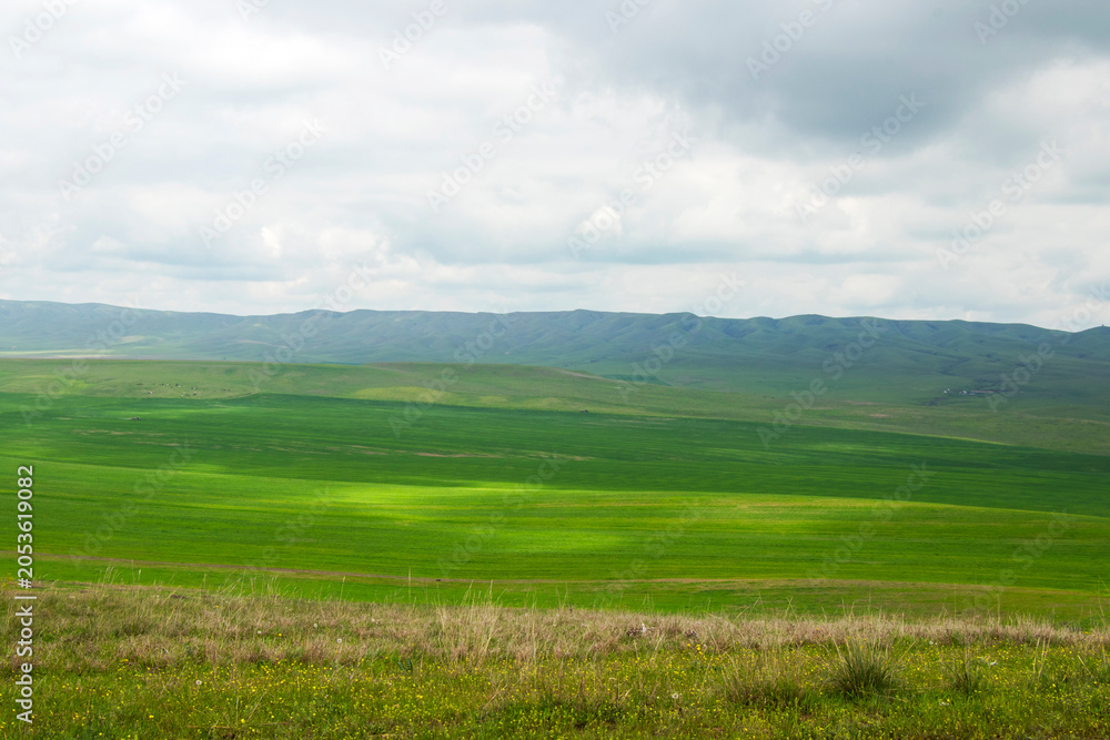 Fototapeta premium Dramatic badland formations and rugged canyons dominate the landscape of Vashlovani Protected Areas in eastern Georgia.