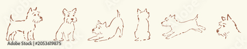 Fotografía Terrier dog poses set sketch vector illustration, loose ink drawn compact energetic canine in various standing sitting and playful positions