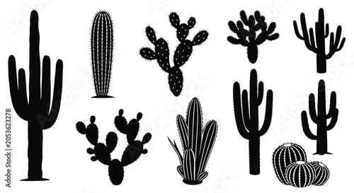 Obraz na płótnie Black cactus plants and silhouettes