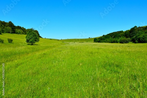 Tablou pe pânză Green pasture bellow Vremščica in Primorska, Slovenia