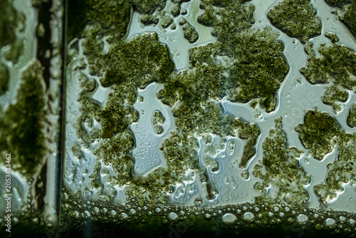 Macro Green Bubbles in Liquid with Moody Grunge Science Style Texture