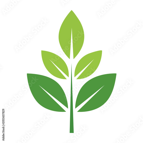 Minimalist green leaf vector illustration
