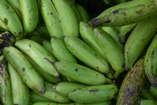 Foto Full frame background or backdrop concept with piles of bananas, abundant harvest of bananas, fresh green bananas