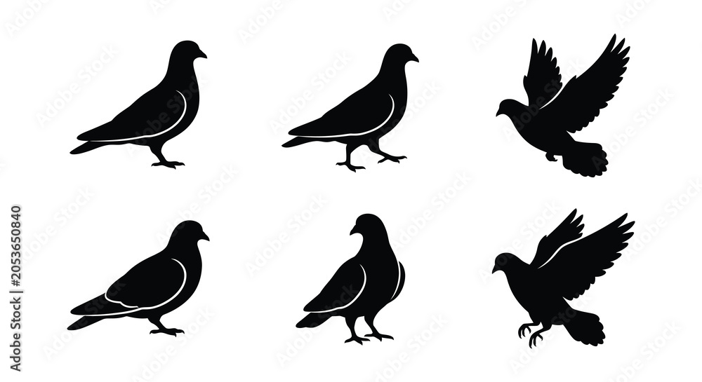 Fototapeta premium Pigeon Silhouettes Black Vector Illustrations On White Background