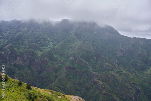 Misty terraced slopes of Anaga Tenerife