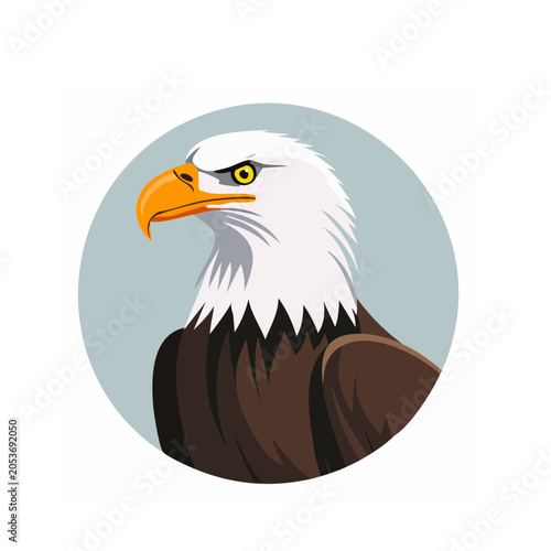 Eagle Head Flat Vector Illustration
