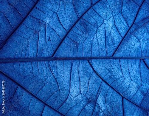 Extreme close-up of a deep blue leaf's intricate network of veins