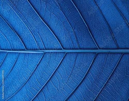 Extreme close-up of a vibrant blue leaf vein pattern, revealing intricate textures