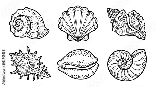 Schilderij op canvas Detailed sea shell line art collection for coloring