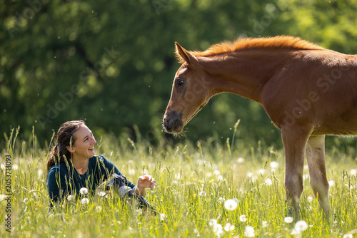 Tableau sur toile Young horse approaching smiling woman in flowering meadow showing trust, curiosi