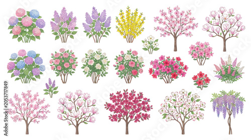 Collection of flowering garden trees and shrubs in spring bloom