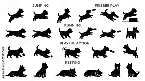 Bild auf Leinwand West highland white terrier action silhouettes collection