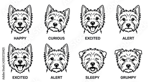 West highland white terrier dog head icons with different emotions